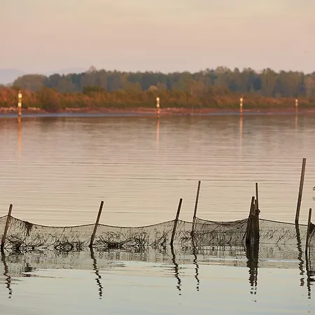 Boutique Oche Selvatiche グラード