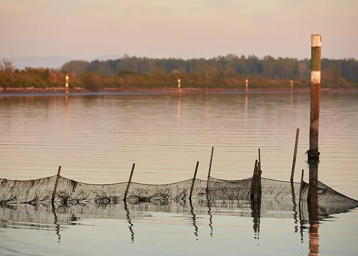 Boutique Oche Selvatiche Grado